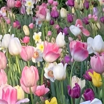 pa2yu's profile picture. 