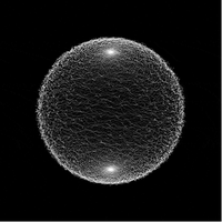 Data Universe γ» SN13 (@data_sn13) 's Twitter Profile Photo Data Universe γ» SN13 (@data_sn13) 's Twitter Profile Photo