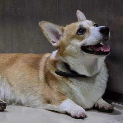 Miffos's profile picture. they/them. very prone to boredom.