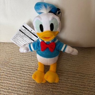 1221_chiaki's profile picture. スーパーエイト、大阪プロレス  、オートレーサー森君が好きです