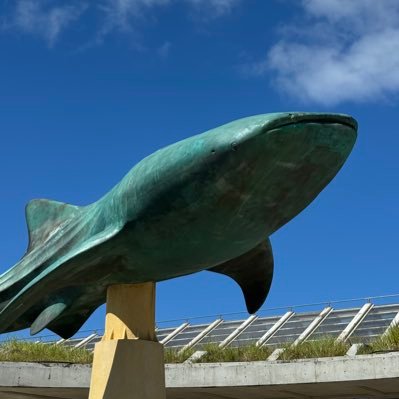 oshima_akiho's profile picture. 懸賞は人生のスパイス🌸
流行りもの＆お得が大好きなアラサー女子。
当選のドキドキをみんなと共有します！