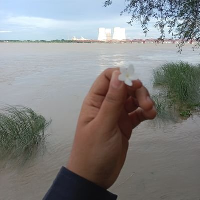 Dola547886's profile picture. 