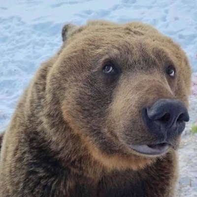 SpecterRegen's profile picture. Hiding in the hills