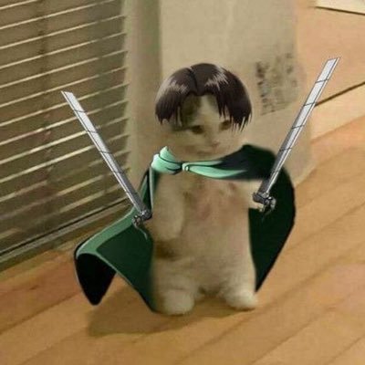 sayangknalpot's profile picture. not so #studytwt