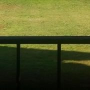 CuteGITAK's profile picture. Love My Family🌟Agriculture💚Business🥥 Music🎵Gardening🌸Cooking🍽EnjoyLife❣️Cricket Lover🏏Yoga🧎‍♀️Excericise🏌‍♀ Dreamer🧚Spread Positivity😇Healer💕
No DM❌