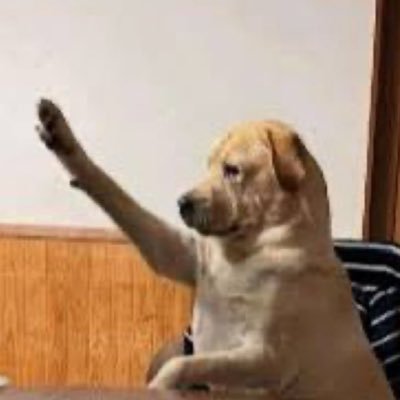 Rhigiy's profile picture. I will be free someday