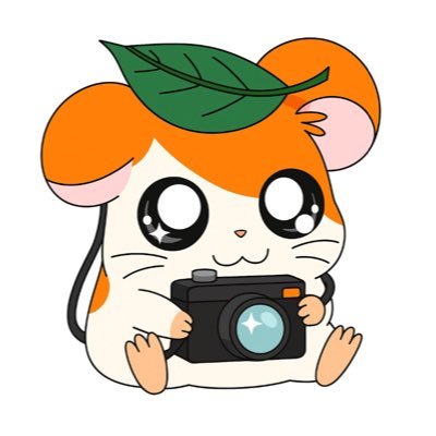 ri___94mk's profile picture. 92 ⌇ 向井康二⌇めめこじ⌇好きなこといろいろ呟きます