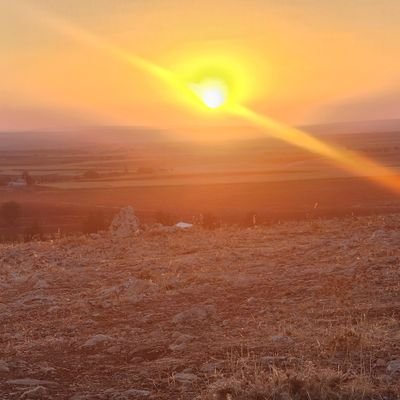 omer_faruk40254's profile picture.