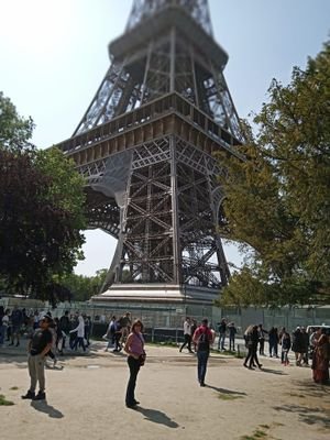 Silvina1769340's profile picture. 