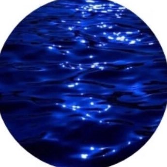 noaheveryall's profile picture. 