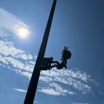 se1f_assertion's profile picture. 