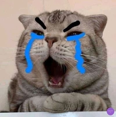 rossabellaaa's profile picture. 