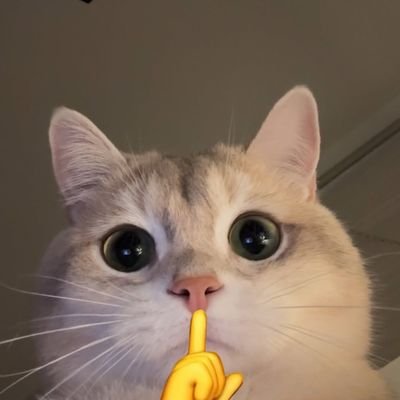@Rp32000
