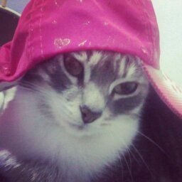 athastltha's profile picture. design engineer