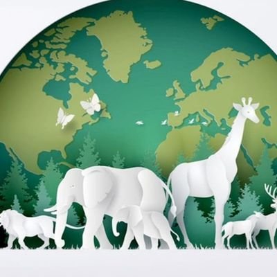 MANISHDEWA1313's profile picture. 