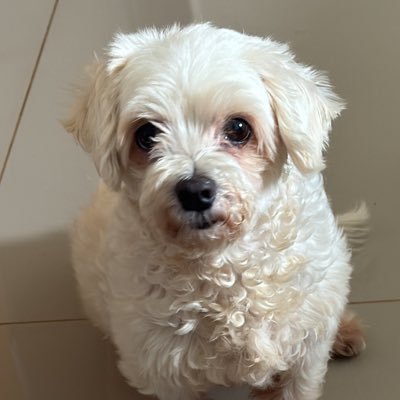 gma1gb's profile picture. 