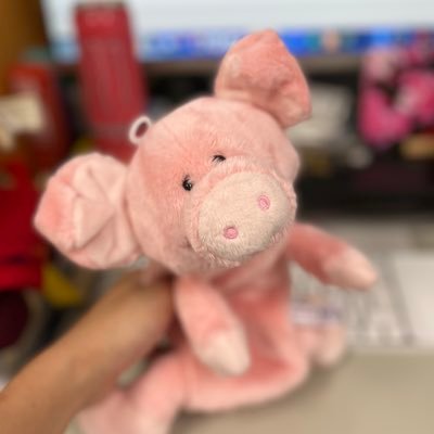 Meery2025's profile picture. Ph.D.💊 学位取得後に企業で研究し、今は転職してアカデミアにいます🦠