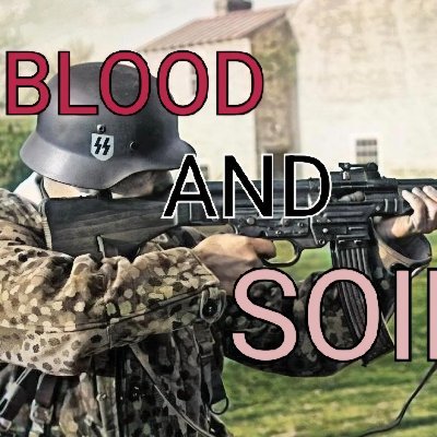 NatSocUnite's profile picture. 🧃White national socialists that sacrificed their liberty fighting k!kes. Three Europeans manage this account🧃⚡️⚡️