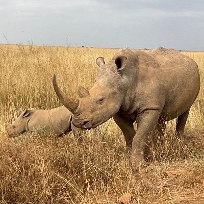 WallaceJoh59199's profile picture. 