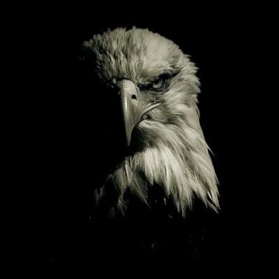 BarbraPenn1589's profile picture. single and 😓searching but too beat to talk to people on here!.....I'm lovely and fun to 😘chat with ready to f*c* off