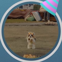 BTS_jiminidol's profile picture. 