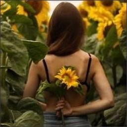 bohlerisse49915's profile picture. Bloom where you are planted.