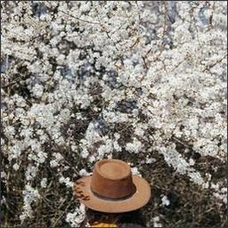 burchamkle36057's profile picture. Life isn’t perfect but your outfit can be.