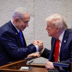 ShiranchShiran's profile picture. חילונית, אבל מכבדת את המסורת היהודית. ימנית.