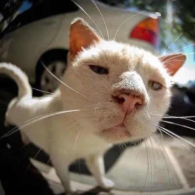 ruclarif's profile picture. 