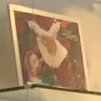 sabschin's profile picture. 🇺🇸 💜 🐸 MAGA MAHA GenX Disabled by the “experts” of fake science.