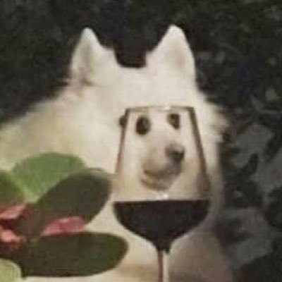 봄さんのプロフィール画像