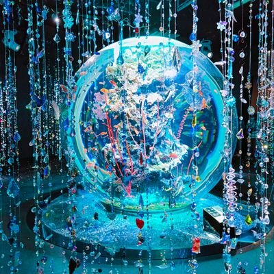 noah20000126's profile picture. 🌶️人生にスパイスを効かせましょう🌶️  愛犬・ノア（2016年に虹の橋を渡りました）は宇宙一愛おしい🌠 現在も親バカ道まっしぐら！ /蜷川実花さん/舞台・ミュージカル(.5含む)が好き/2020.3〜審神者/🎡2025.4〜🎡/⚓2025.8〜⚓