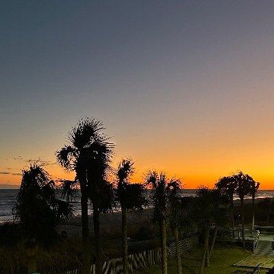 PetersonWi98586's profile picture. 