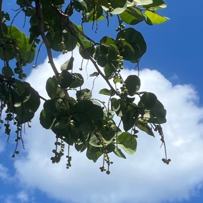 @Skylink__105