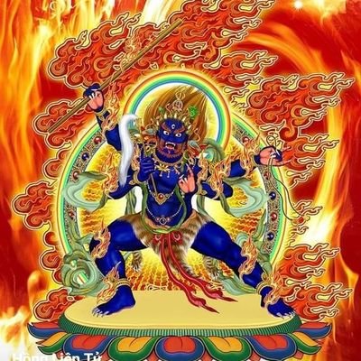 hoangduong1142's profile picture. 