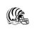 Cincinnati Bengals