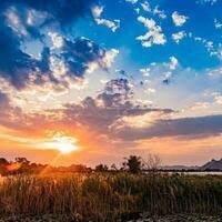 badol000006's profile picture. My from Bangladesh