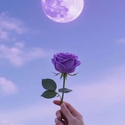 __leylo_'s profile picture. 