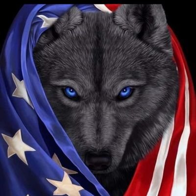 TamJo39's profile picture. 💯% MAGA, Christian🙏, 
President Trump is a #Badass
Twitter Banned  NOT A DATING SITE
Jan 6th- X won't give it back. 🇺🇸 #Patriot 💯% Deplorable 💯% Garbage