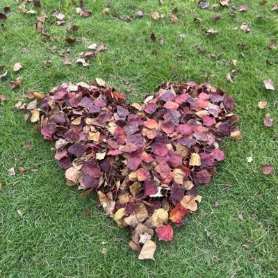 dou213010's profile picture. 