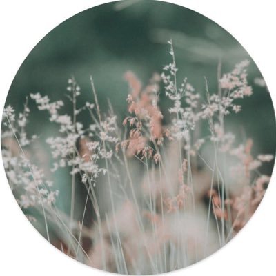 ra23png's profile picture. 