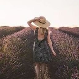 Onafaw429060's profile picture. 