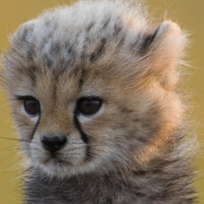 LouisPalha34028's profile picture. Ad infinitum