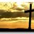 mitchell_chapel's profile image