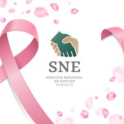 SNE_Tabasco's profile picture. Impulsamos el empleo formal en Tabasco mediante estrategias de vinculación, capacitación y movilidad laboral. Conectamos talento con oportunidades.