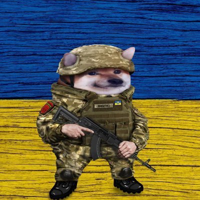 kms_dd4kk's profile picture. Ukraine officer 🇺🇦 Military engineering.
FIGHTING RUSSIAN INVASION RIGHT NOW