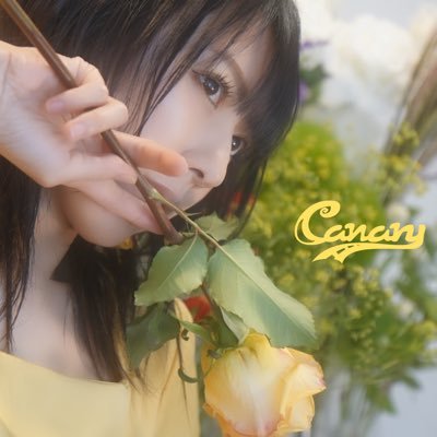 Canary キャナリー / 乃下未帆さんのプロフィール画像