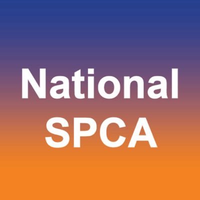 DublinSPCA's profile picture. Two leading animal welfare charities, DSPCA and ISPCA coming together creating one national voice for animals. 🐾 Registered Charity No.20001735
