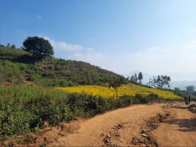 karampodi369's profile picture. follow me I will followback
ENGINEER: engine lo nellu pose vadini
REVIEWER FOR REVIEWERS