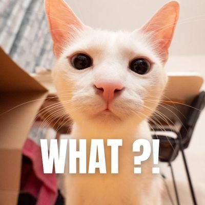 Jasmeen2212's profile picture. 